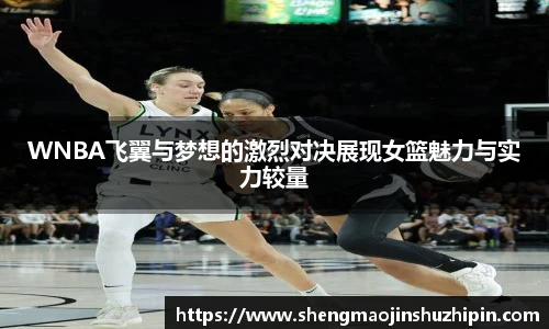 vsportWNBA飞翼与梦想的激烈对决展现女篮魅力与实力较量