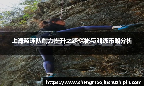 vsport上海篮球队耐力提升之路探秘与训练策略分析
